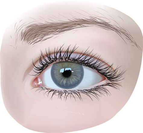 eye view png|Eyes PNG images free download .
